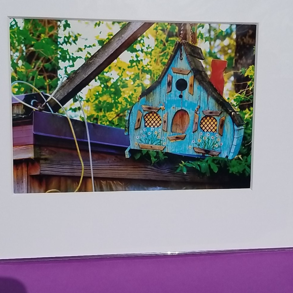 Rustic blue birdhouse photography nature matted photo birthday home decor Art